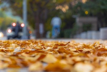 Спека, сніг та ожеледь: синоптик розповів, як погода "збожеволіє у кінці листопада