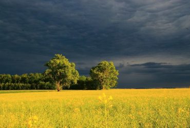 Спека та грози в Україні : чим здивує погода цього тижня (карта)