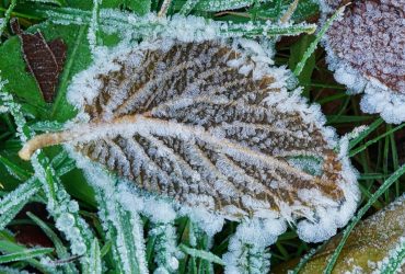 Вдягайтесь тепліше: на зміну дощам до Києва йдуть перші заморозки (інфографіка)