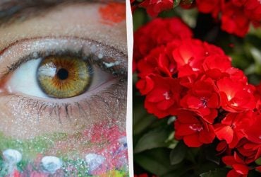 Настоящий вызов для мозга: надо найти божью коровку на цветах за 8 секунд в оптической иллюзии