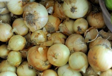 Как правильно хранить лук: эксперт дал ключевые советы