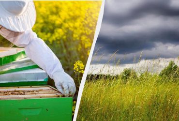 Накличете хвороби та невдачі: що не можна робити в народне свято 30 липня