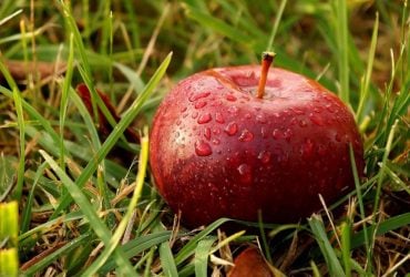 Тиждень в Україні розпочнеться без сильного холоду, але з дощами