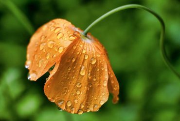 20 мая Украину накроют дожди и грозы: сухо будет лишь в нескольких областях (карта)