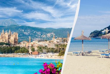 Курорты Испании поразило нашествие новых тараканов