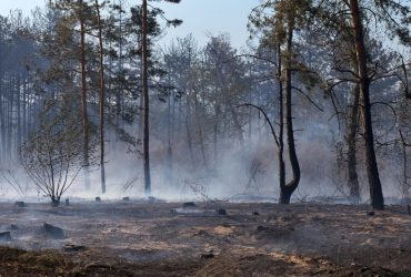 Війна РФ проти України створює кліматичну катастрофу, - екоактивісти