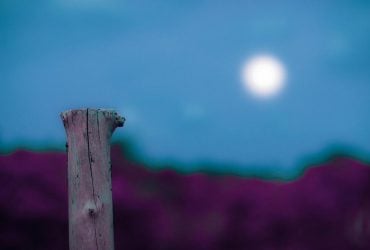 Коварные 4 дня: когда в августе 2024 лечить зубы, одалживать деньги, собираться в дорогу