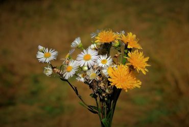 Синоптик назвала точные даты, когда в Украине наконец потеплеет