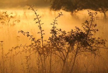 В Днепре объявили І уровень опасности: что произошло (инфографика)
