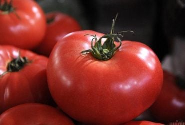 Магазинные помидоры станут сладкими и ароматными, как фермерские: куда их положить