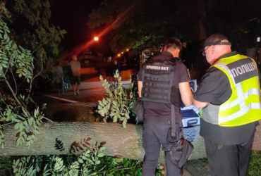 В парке Киева на людей упало дерево: есть погибшая и пострадавшие (фото)