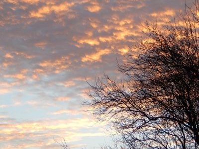 https://images.unian.net/photos/2024_07/thumb_files/400_0_1722257081-6565.jpg?r=999835