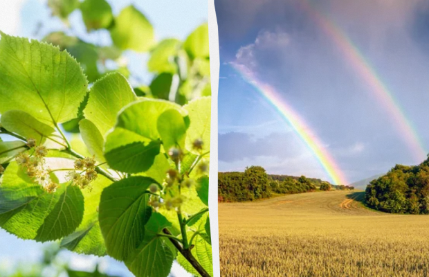 Не можна відмовлятися від роботи: яке свято 4 липня, прикмети і заборони дня