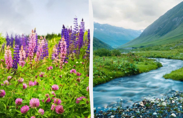 Не можна стригтися і фарбуватися: яке свято 7 липня, прикмети і заборони дня