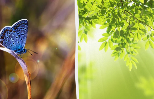 Потрібно помолитися двом святим: яке свято 8 липня, прикмети і заборони дня