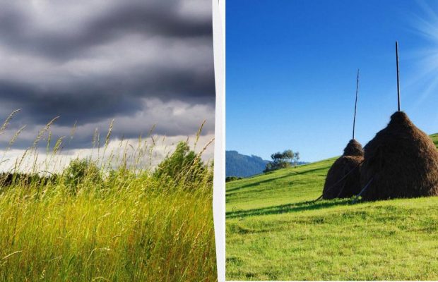 Обов'язково потрібно зробити добру справу: прикмети в народне свято 10 липня