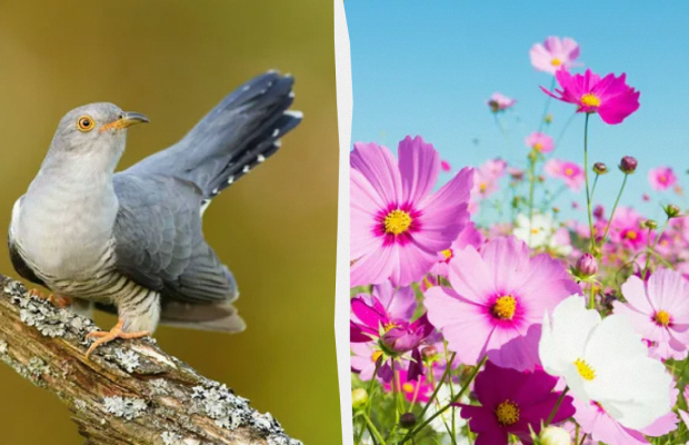Не можна прати речі та прибирати в домі: яке свято 13 липня, прикмети та заборони дня