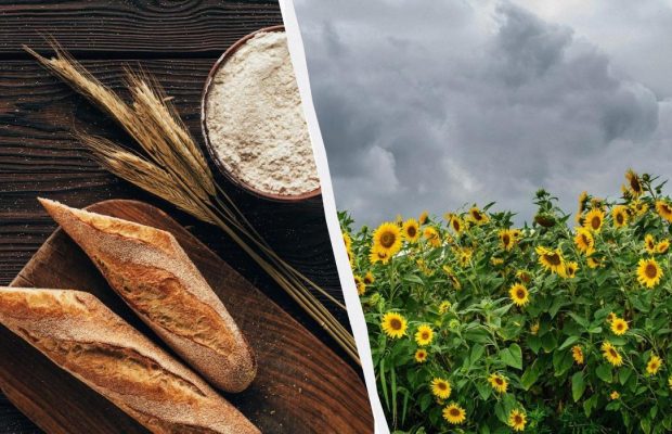 Випекти хліб і не купатися в день Іллі: як провести народне свято 20 липня