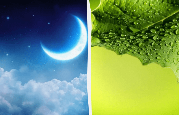 Увечері потрібно подивитися на місяць: яке свято 18 липня, прикмети і заборони дня