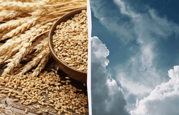 Не можна відмовляти в допомозі: яке свято 20 липня, прикмети і заборони дня