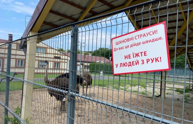 Колишня резиденція Януковича "Межигір'я" відновлює роботу після націоналізації (фоторепортаж)