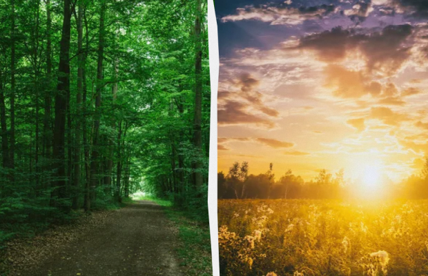 Сьогодні краще "стежити за язиком": яке свято 24 липня, прикмети і заборони дня