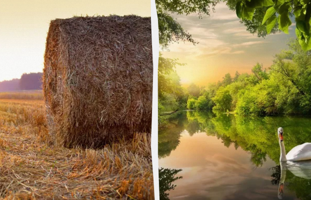 Не можна ні з ким обговорювати особисте життя: яке свято 26 липня, прикмети і заборони