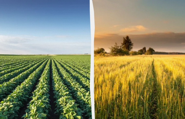 Не можна влаштовуватися на роботу: яке свято 27 липня, прикмети і заборони дня