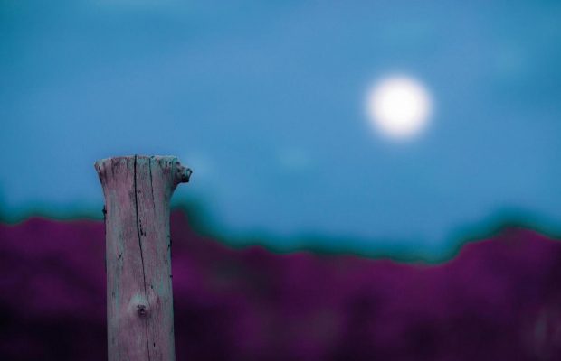 Підступні 4 дні: коли в серпні 2024 лікувати зуби, позичати гроші, збиратися в дорогу