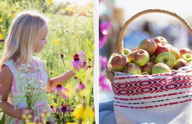 7 заборон у Яблучний Спас: що не можна робити в народне свято 6 серпня