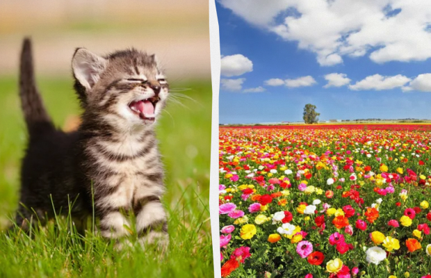 Потрібно зробити прибирання в домі: яке свято 30 липня, прикмети та заборони дня