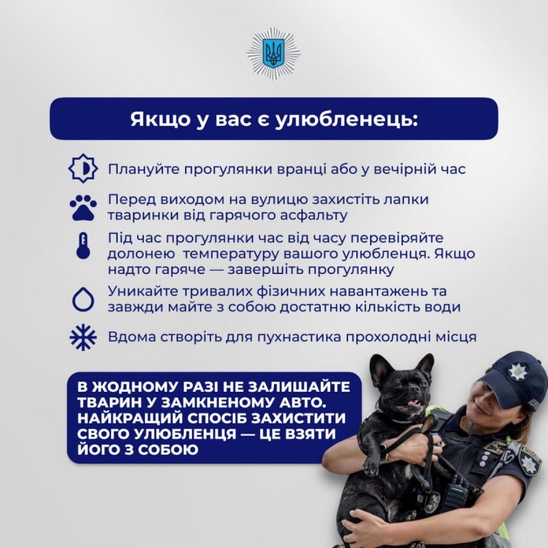 Советы от кинологов / фото МВД Украины