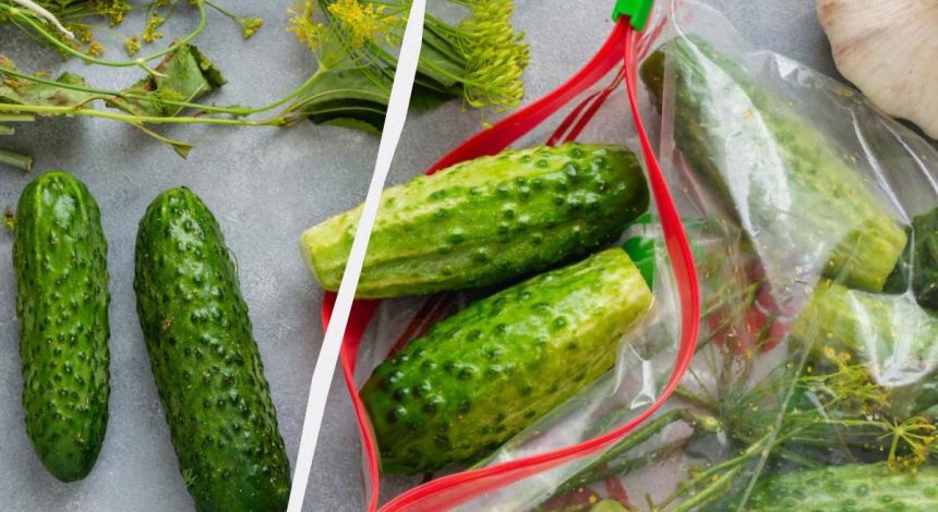 Будут готовы за 20 минут: хрустящие малосольные огурцы в пакете