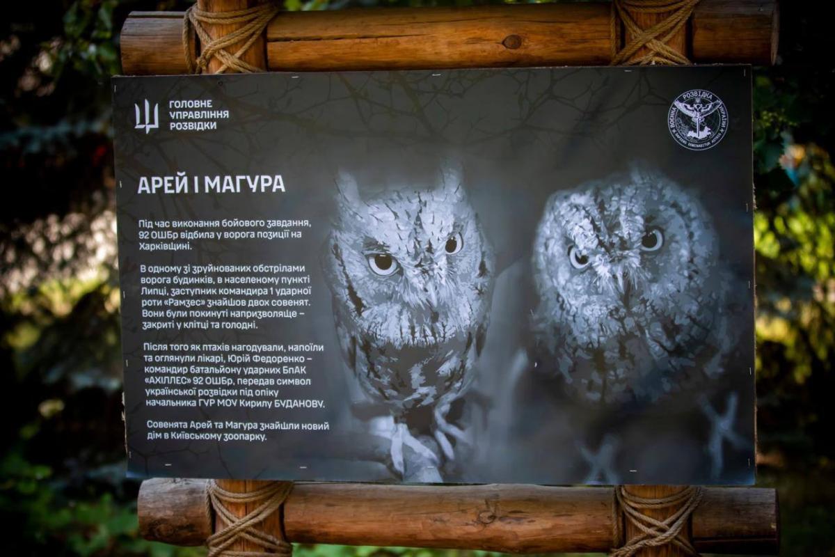 В Киевском зоопарке будут жить "штатные" совы украинской разведки / ГУР МО В Киевском зоопарке будут жить "штатные" совы украинской разведки / ГУР МО
