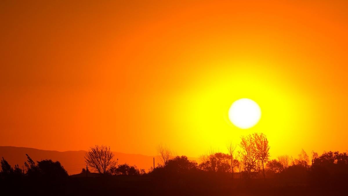 Спека може знизити урожай коренеплодів й бульбоплодів / фото Pixabay. Спека може знизити урожай коренеплодів й бульбоплодів / фото Pixabay.