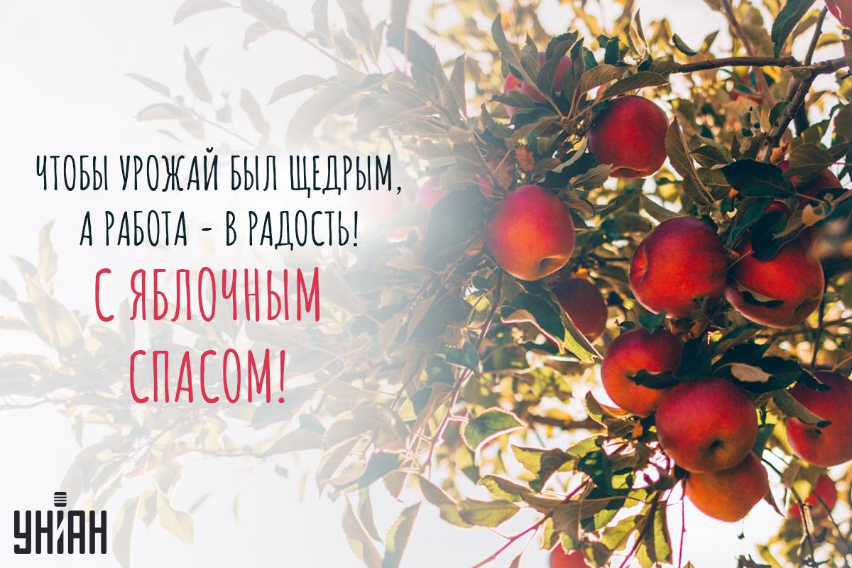 Картинки с Яблочным Спасом / открытки УНИАН Картинки с Яблочным Спасом / открытки УНИАН