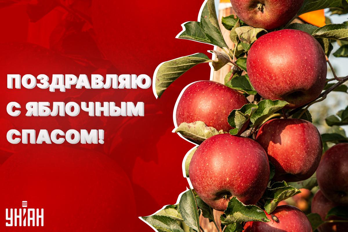 С Яблочным Спасом - картинки, поздравления /УНИАН С Яблочным Спасом - картинки, поздравления /УНИАН