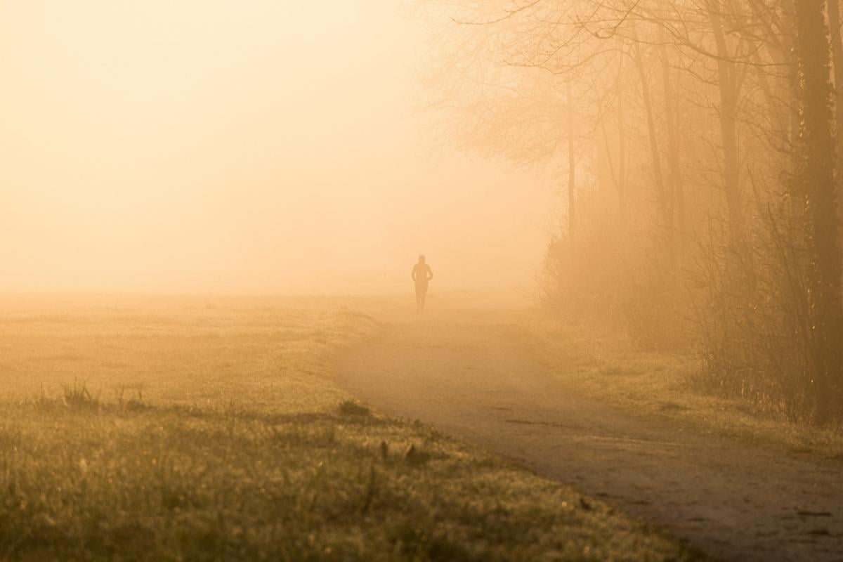 У фото Pixabay У фото Pixabay