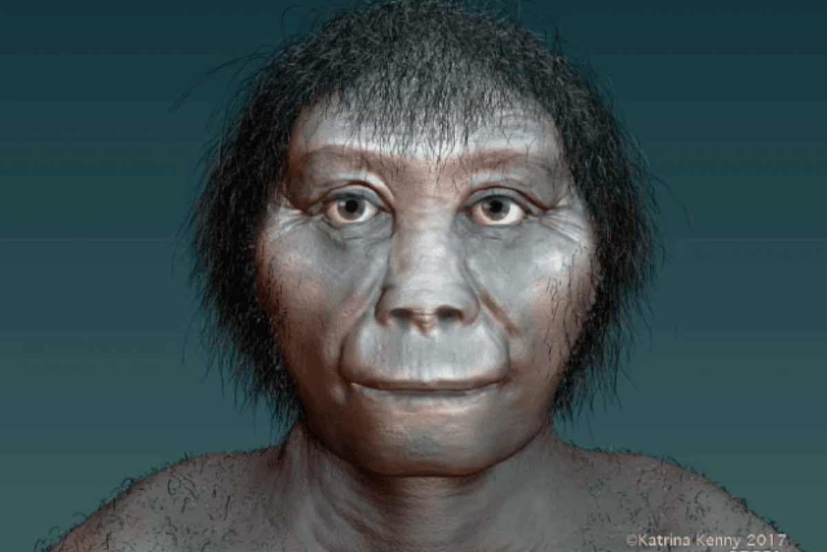 Художнє представлення Homo floresiensis / фото Катріна Кенні, Музей Південної Австралії Художнє представлення Homo floresiensis / фото Катріна Кенні, Музей Південної Австралії