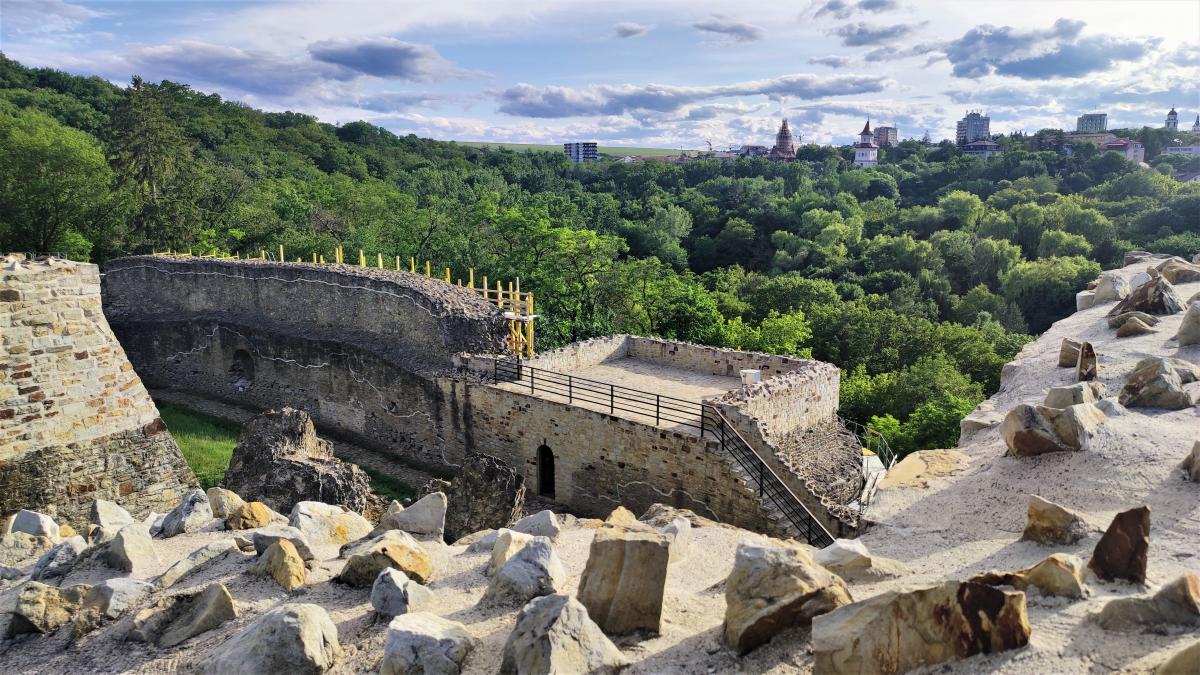 Вид на Сучаву со стен Тронной крепости / фото Марина Григоренко