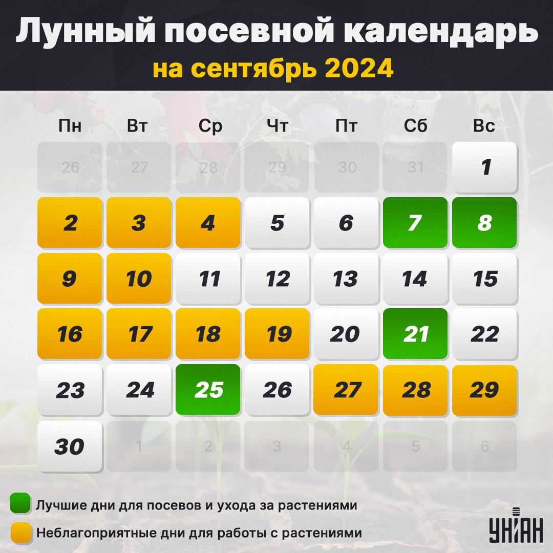 Лунный посевной календарь на сентябрь 2024 таблица / картинка УНИАН Лунный посевной календарь на сентябрь 2024 таблица / картинка УНИАН