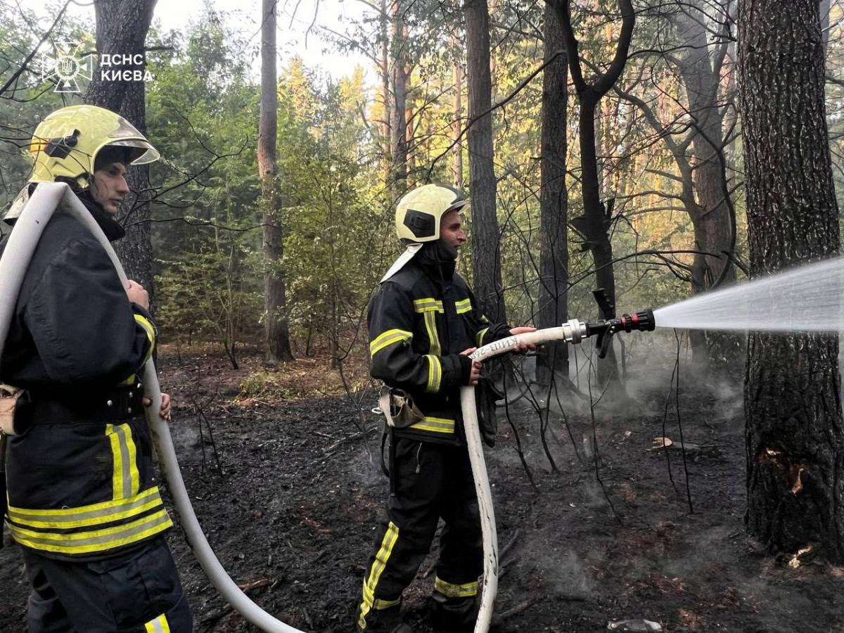 В Дніпровському та Деснянському районах від падіння уламків виникло займання / фото ДСНС Києва В Дніпровському та Деснянському районах від падіння уламків виникло займання / фото ДСНС Києва