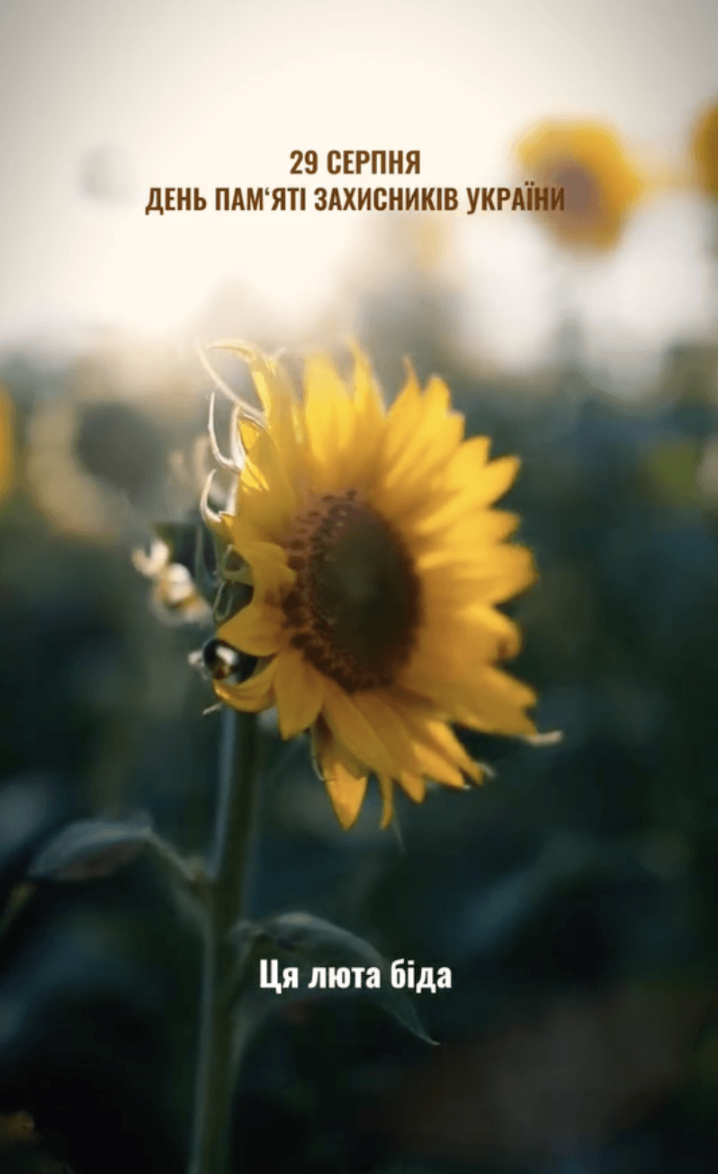 Скріншот Instagram Скріншот Instagram