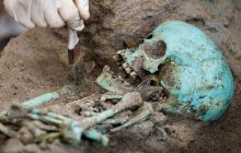 В одном из чумных захоронений Германии нашли тысячи зеленых скелетов