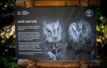 Арей та Маґура: у Київському зоопарку житимуть "штатні" сови ГУР (фото, відео)