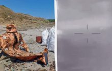 На пляж у Болгарії викинуло "вантаж" зі знищеного корабля "Сергій Котов" (фото)