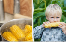 Буквально на кончике ножа: что добавить в кастрюлю при варке кукурузы для мягкости