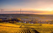 Корпорація Mars опублікувала звіт про сталий розвиток за 2023 рік: рекордне скорочення викидів вуглецю