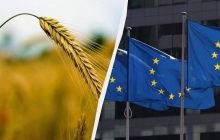 Найгірший урожай пшениці з 1983 року: європейську країну чекає зернова криза, – Bloomberg