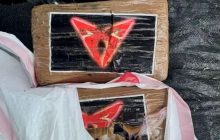 В США после урагана на пляж выбросило упаковки с кокаином на миллионы долларов